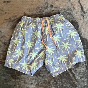 Chubbies Bathing Suit 5.5” Palm Tree